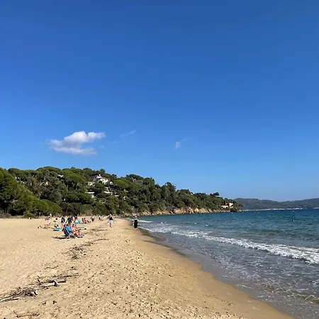 Rdc Grand Jardin, Piscine Chauffee, Jacuzzi
